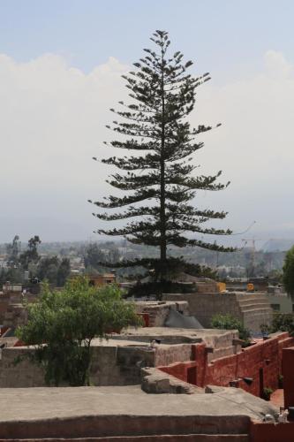 IMG 14236 resize