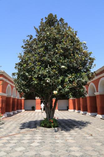IMG 14243 resize