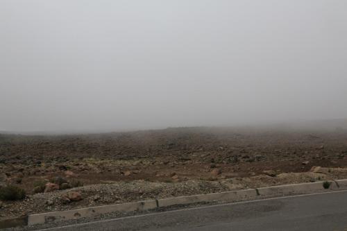 IMG 14102 resize