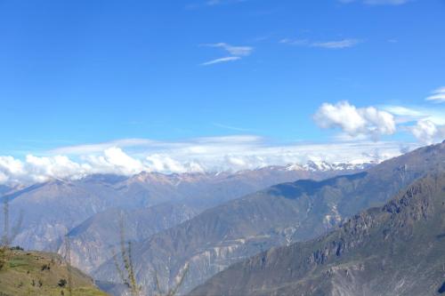 IMG 13869 resize
