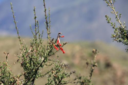 IMG 13890 resize