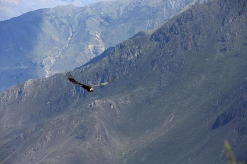 IMG 13925 resize