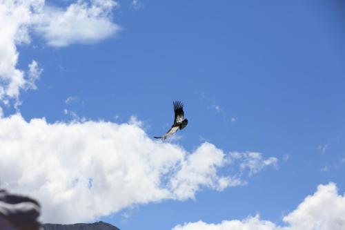IMG 13940 resize