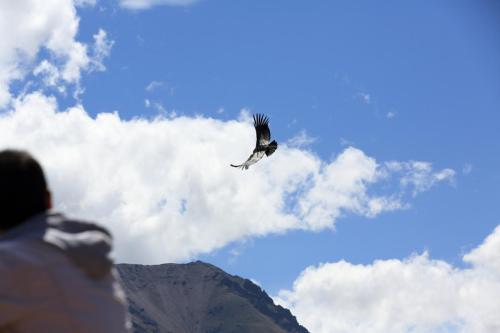 IMG 13941 resize