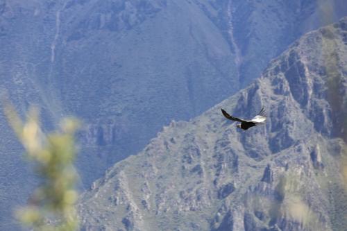 IMG 13951 resize