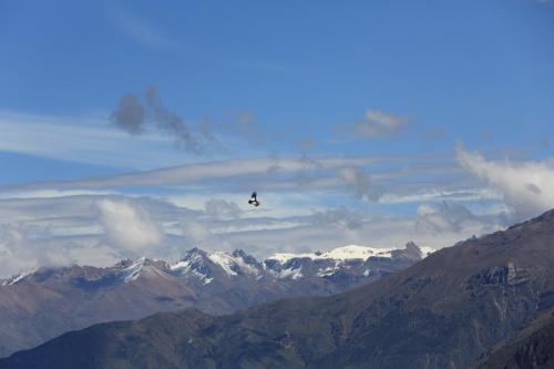 IMG 13967 resize