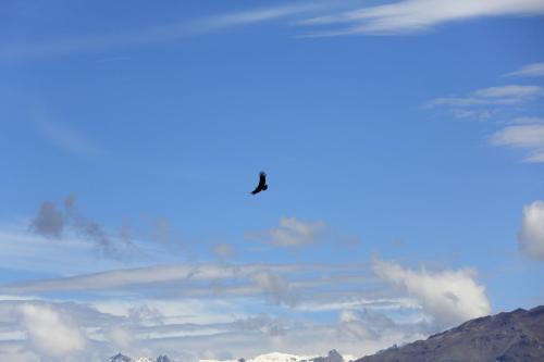 IMG 13976 resize