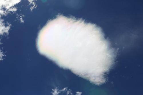 IMG 13998 resize