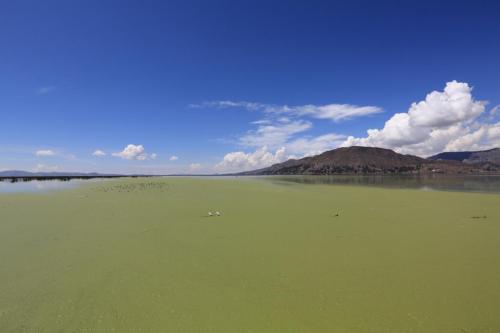IMG 13428 resize