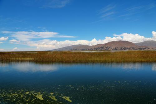 IMG 13560 resize