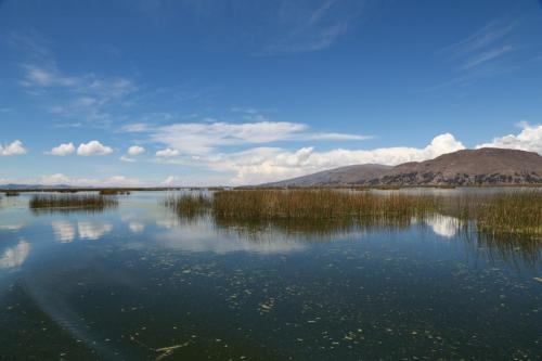 IMG 13589 resize