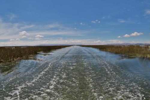 IMG 13601 resize