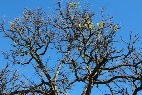 IMG 17437 resize