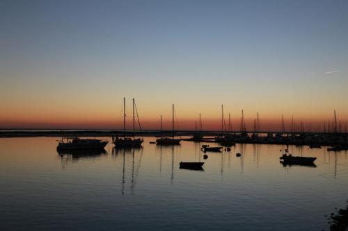 IMG 17444 resize
