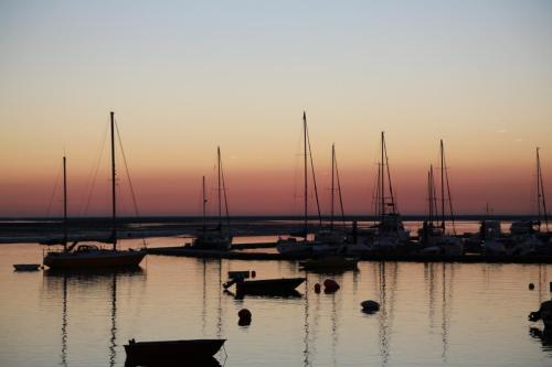 IMG 17445 resize