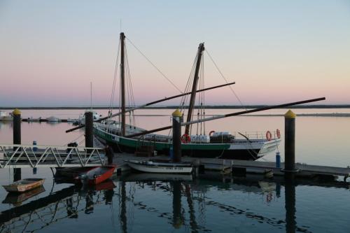 IMG 17446 resize