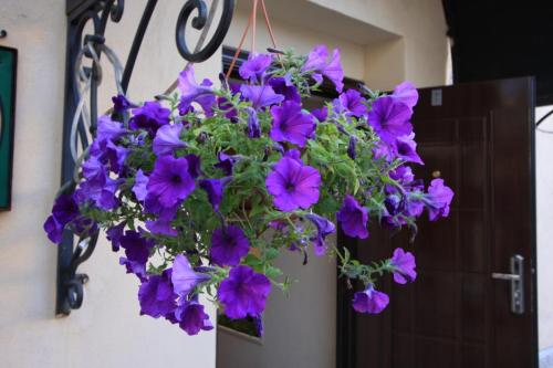 IMG 4636 resize