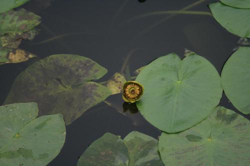 IMG 5225 resize