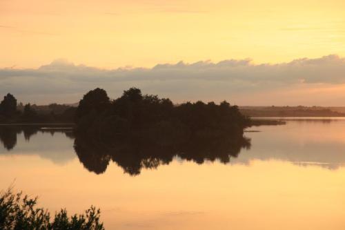 IMG 5675 resize