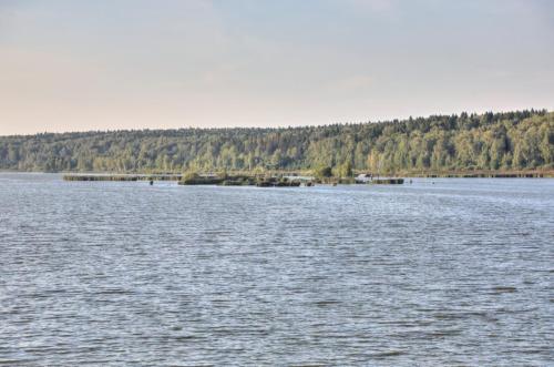 YKP 8245 resize
