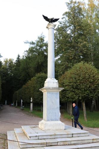 YKP 4228 resize