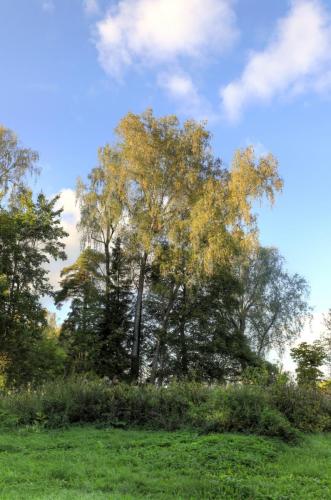 YKP 2023 09 16 12646 resize