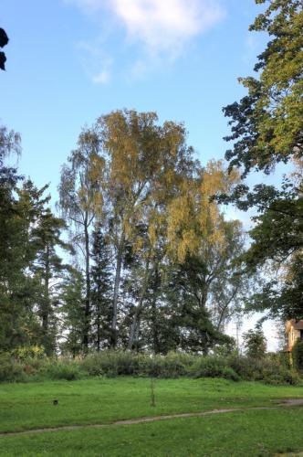 YKP 2023 09 16 12670 resize
