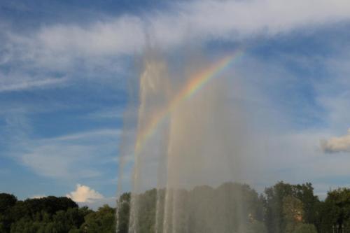 IMG 22695 resize