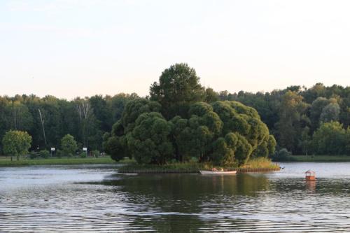IMG 22823 resize