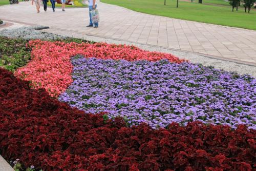 IMG 22837 resize