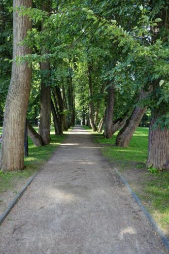 YKP 2022 07 24 12005 resize