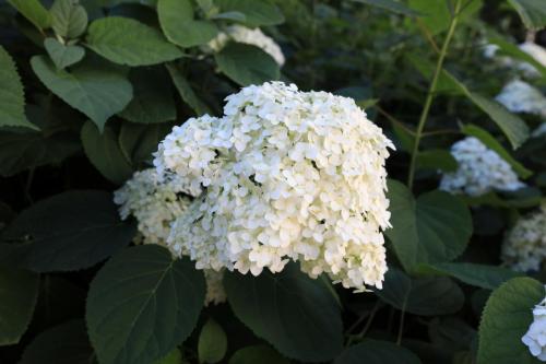 YKP 2022 07 24 12023 resize