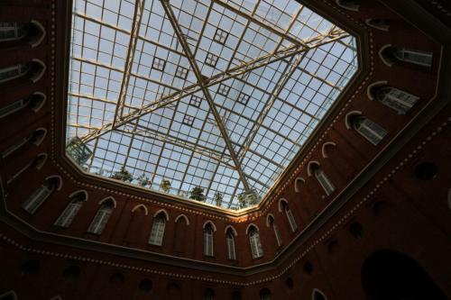 IMG 5337 resize