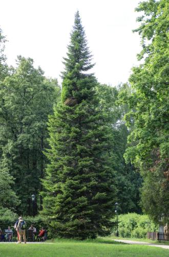 YKP 2022 06 18 10560 resize