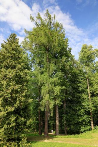 YKP 2022 06 18 10565 resize