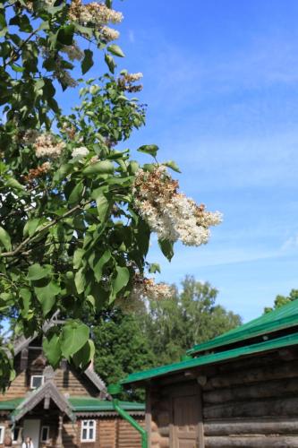 YKP 2022 06 18 10617 resize