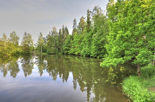 YKP 2022 06 18 10737  resize
