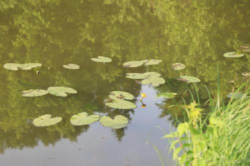 YKP 2022 06 18 10756 resize