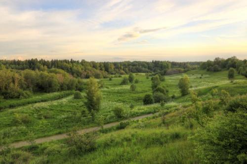 YKP 2022 06 18 10848 resize