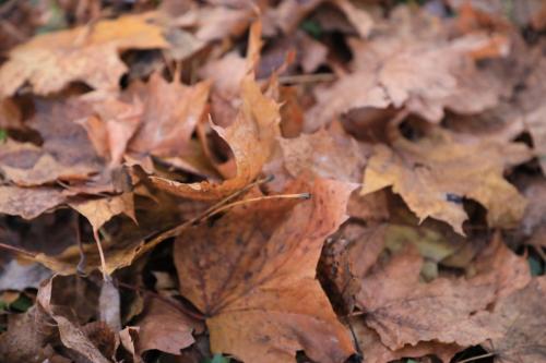 YKP 2021 10 31 10405 resize
