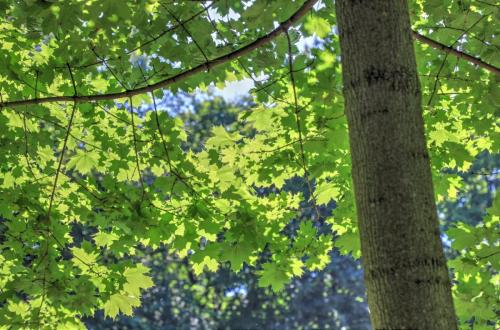 YKP 2021 07 06 10143 resize