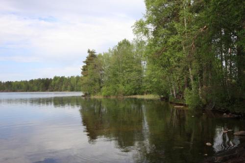IMG 4135 resize