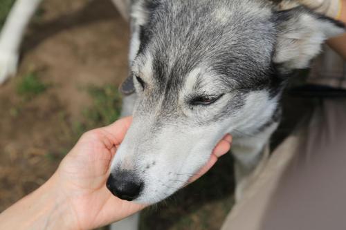 IMG 2931 resize