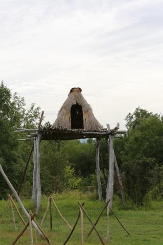 IMG 3051 resize