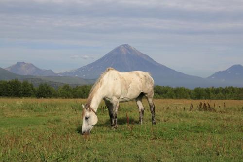 IMG 3058 resize