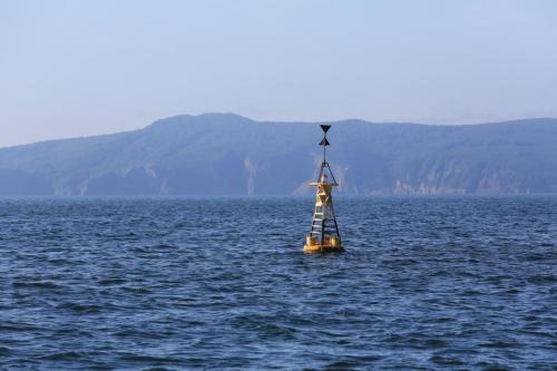 IMG 2453 resize