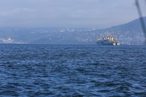 IMG 2455 resize