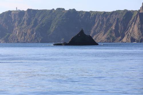 IMG 2516 resize