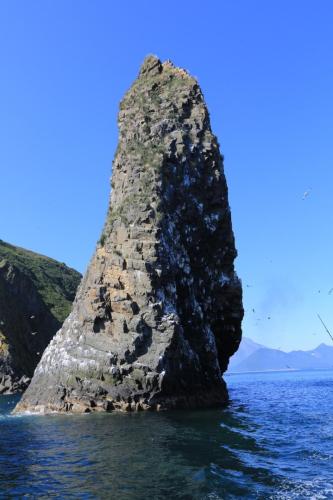 IMG 2725 resize