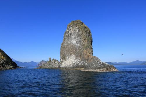 IMG 2730 resize
